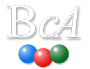 BCA SERVICES